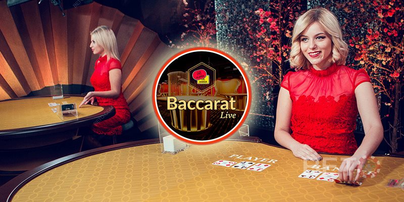 Kinh nghiệm chơi Baccarat Live từ cao thủ nhà cái