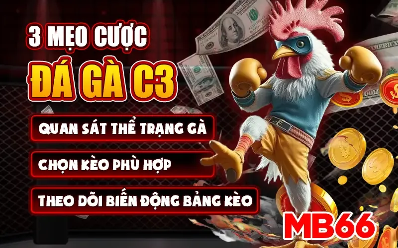 Mẹo cược đá gà C3