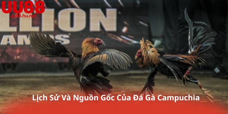 Lịch Sử Và Nguồn Gốc Của Đá Gà Campuchia