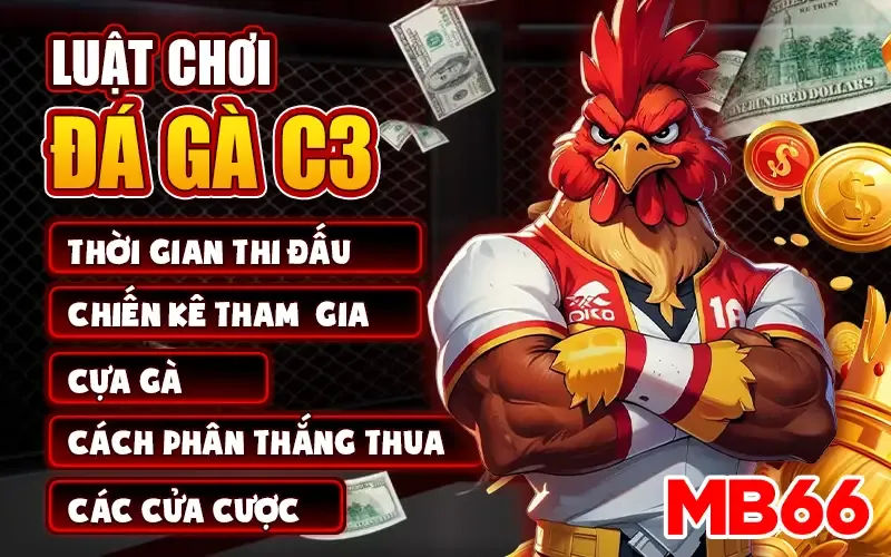 Luật chơi đá gà C3