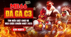 MB66 – Đá Gà C3 | Tìm Hiểu Luật Chơi Và Mẹo Cược Chuẩn Nhất 2025